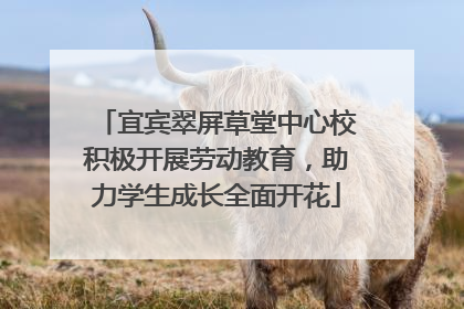宜宾翠屏草堂中心校积极开展劳动教育，助力学生成长全面开花