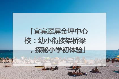 宜宾翠屏金坪中心校：幼小衔接架桥梁，探秘小学初体验