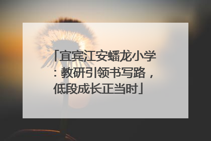宜宾江安蟠龙小学：教研引领书写路，低段成长正当时