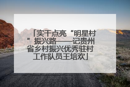 实干点亮“明星村”振兴路——记贵州省乡村振兴优秀驻村工作队员王培欢