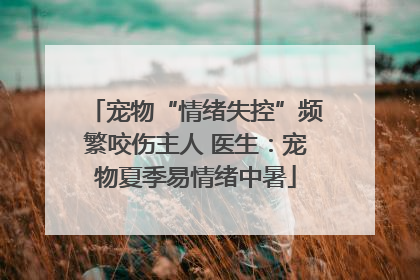 宠物“情绪失控”频繁咬伤主人 医生：宠物夏季易情绪中暑