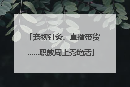 宠物针灸、直播带货……职教周上秀绝活