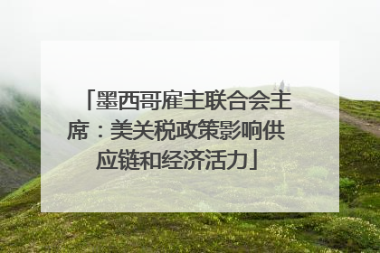 墨西哥雇主联合会主席：美关税政策影响供应链和经济活力