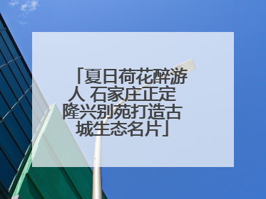 夏日荷花醉游人 石家庄正定隆兴别苑打造古城生态名片
