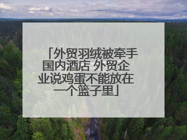 外贸羽绒被牵手国内酒店 外贸企业说鸡蛋不能放在一个篮子里