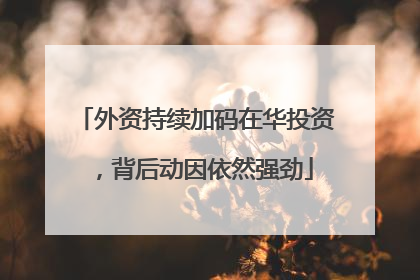 外资持续加码在华投资，背后动因依然强劲