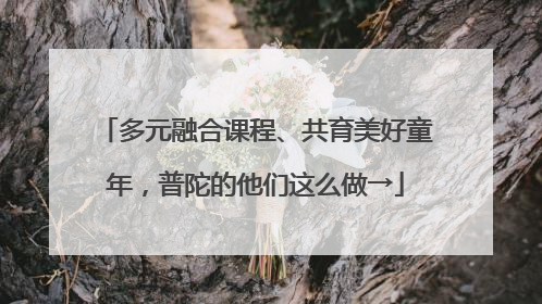 多元融合课程、共育美好童年，普陀的他们这么做→