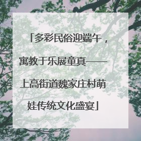 多彩民俗迎端午，寓教于乐展童真——上高街道魏家庄村萌娃传统文化盛宴