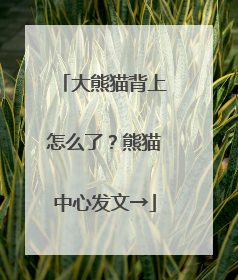大熊猫背上怎么了？熊猫中心发文→