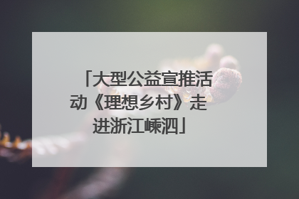 大型公益宣推活动《理想乡村》走进浙江嵊泗
