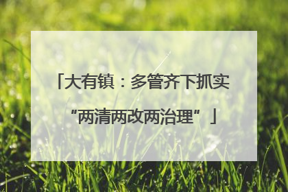 大有镇：多管齐下抓实“两清两改两治理”