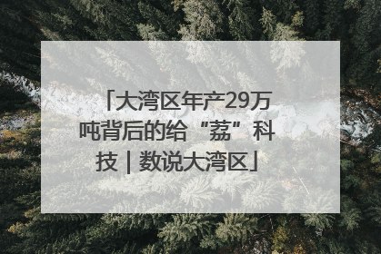 大湾区年产29万吨背后的给“荔”科技｜数说大湾区