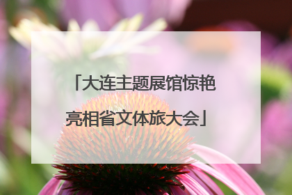 大连主题展馆惊艳亮相省文体旅大会