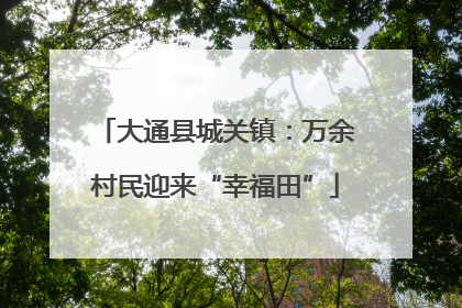 大通县城关镇：万余村民迎来“幸福田”