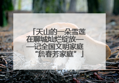 天山的一朵雪莲在聊城灿烂绽放——记全国文明家庭“詹春芳家庭”