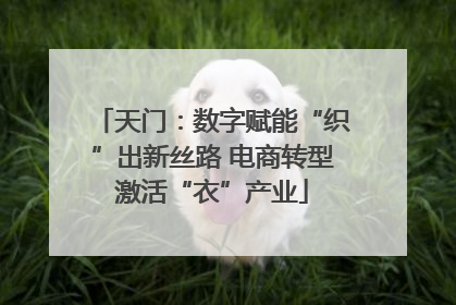 天门：数字赋能“织”出新丝路 电商转型激活“衣”产业