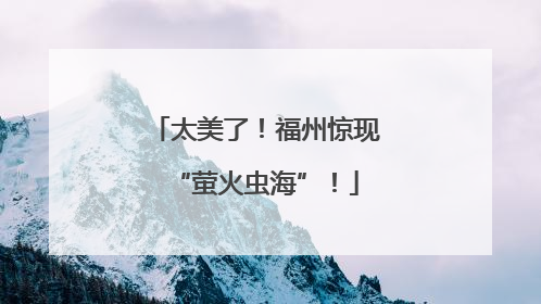 太美了！福州惊现“萤火虫海”！