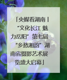 央媒看湖南丨“文化长江 魅力岳阳”第七届“乡愁湘韵”湖南省摄影艺术展览盛大启幕