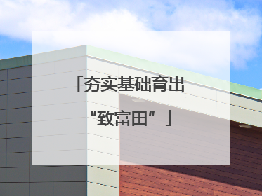 夯实基础育出“致富田”