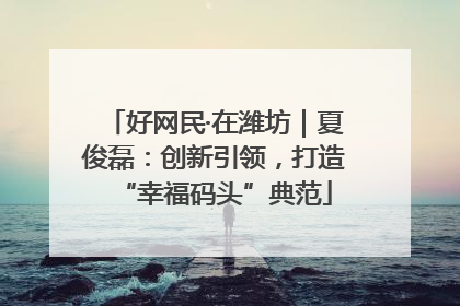 好网民·在潍坊｜夏俊磊：创新引领，打造“幸福码头”典范