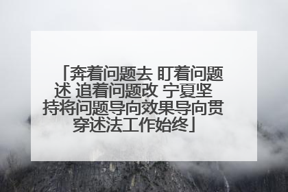 奔着问题去 盯着问题述 追着问题改 宁夏坚持将问题导向效果导向贯穿述法工作始终