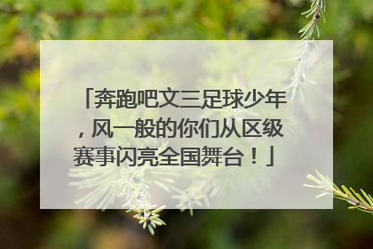 奔跑吧文三足球少年，风一般的你们从区级赛事闪亮全国舞台！