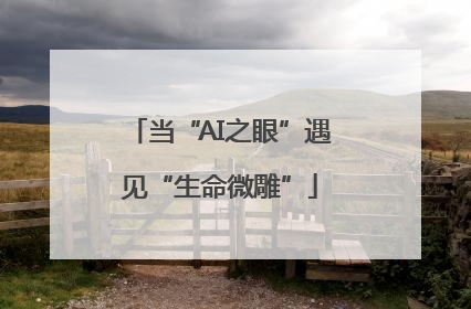 当“AI之眼”遇见“生命微雕”