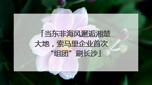当东非海风邂逅湘楚大地，索马里企业首次“组团”刷长沙