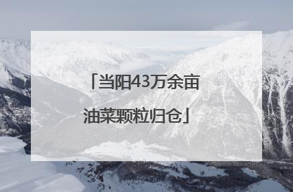 当阳43万余亩油菜颗粒归仓