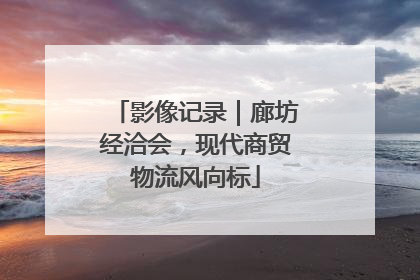 影像记录｜廊坊经洽会，现代商贸物流风向标