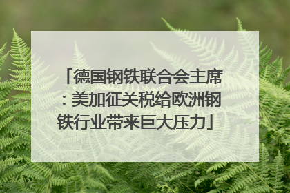 德国钢铁联合会主席：美加征关税给欧洲钢铁行业带来巨大压力