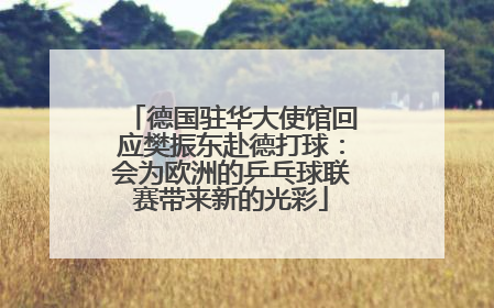 德国驻华大使馆回应樊振东赴德打球：会为欧洲的乒乓球联赛带来新的光彩