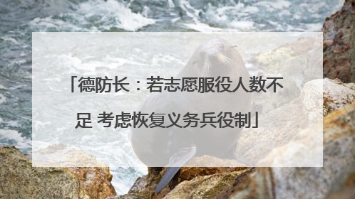 德防长：若志愿服役人数不足 考虑恢复义务兵役制