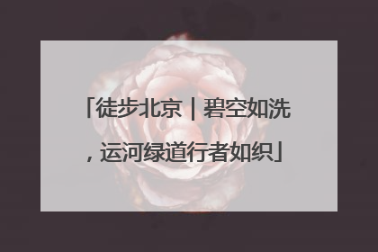 徒步北京｜碧空如洗，运河绿道行者如织