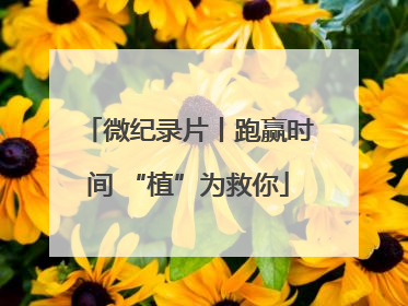 微纪录片丨跑赢时间 “植”为救你