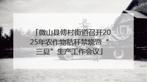 微山县傅村街道召开2025年农作物秸秆禁烧暨“三夏”生产工作会议
