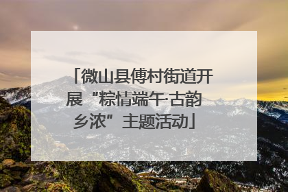 微山县傅村街道开展“粽情端午·古韵乡浓”主题活动