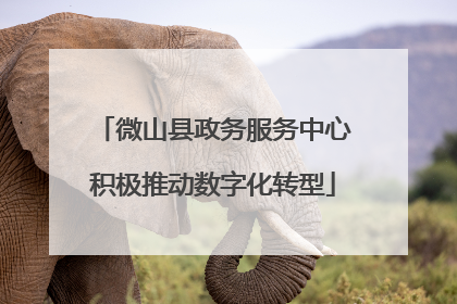 微山县政务服务中心积极推动数字化转型