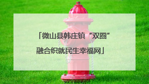 微山县韩庄镇“双圈”融合织就民生幸福网