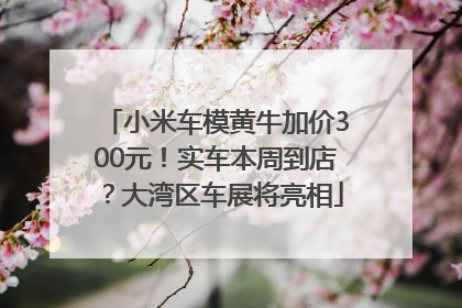 小米车模黄牛加价300元！实车本周到店？大湾区车展将亮相