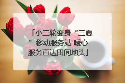 小三轮变身“三夏”移动服务站 暖心服务直达田间地头