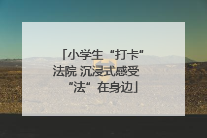 小学生“打卡”法院 沉浸式感受“法”在身边