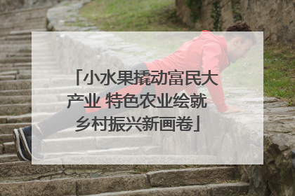 小水果撬动富民大产业 特色农业绘就乡村振兴新画卷