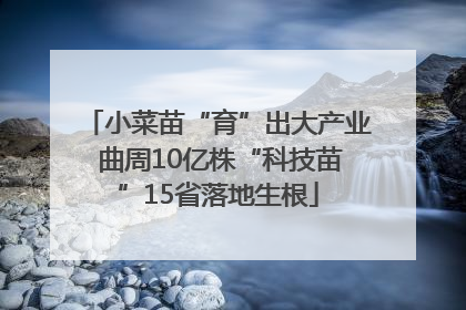 小菜苗“育”出大产业 曲周10亿株“科技苗”15省落地生根