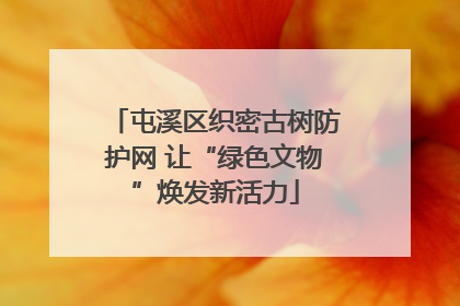 屯溪区织密古树防护网 让“绿色文物”焕发新活力