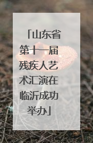 山东省第十一届残疾人艺术汇演在临沂成功举办