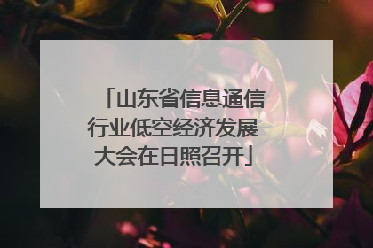 山东省信息通信行业低空经济发展大会在日照召开