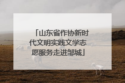 山东省作协新时代文明实践文学志愿服务走进邹城