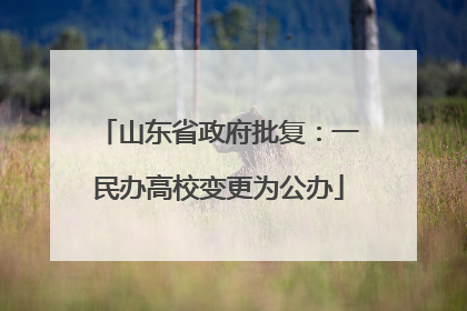 山东省政府批复：一民办高校变更为公办