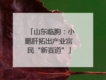 山东临朐：小鹅肝拓出产业富民“新赛道”